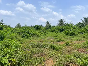 Residential Land for Sale in Ketu, Epe