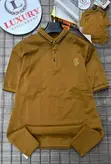 Luxury Collar Polo T-Shirt - 4