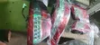 Complete Backlight for Toyota Camry 2010 - 2