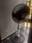 OX Fan Mai Tsaye - 1