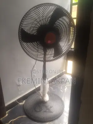 OX Fan Mai Tsaye