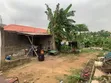 Standard Half Plot of Land for Sale in Ogba - 3