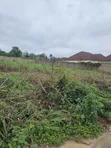 1200sqm Residential Land at Federal Housing Estate Oke-Aro, Osogbo - 3