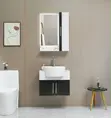 Master Wash Hand Basin with Cabinet - Square Ceramic - 1