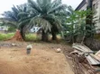 Certificate of Occupancy Land for Sale - OPIC Isheri North - 3