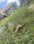 Full Plot of Land for Sale in Ago Palace - 2