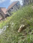 Full Plot of Land for Sale in Ago Palace - 3