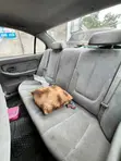 Hyundai Elantra 2006 Blue - 4