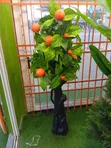 Artificial Flowers - Multicolor Decorative Accessories - 2