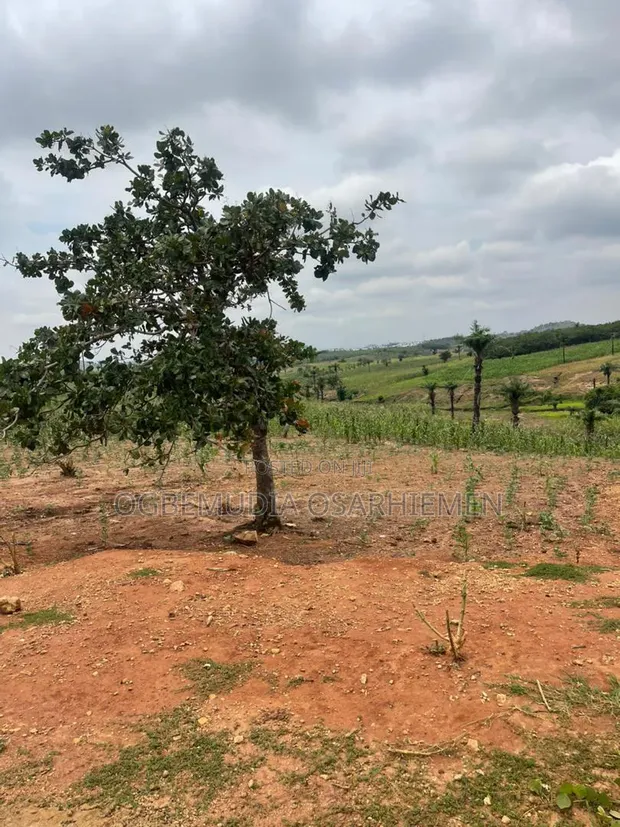 250sqm Residential Land with CofO in Apo Wasa, Abuja - 1
