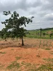 250sqm Residential Land with CofO in Apo Wasa, Abuja - 1