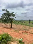 250sqm Residential Land with CofO in Apo Wasa, Abuja - 5