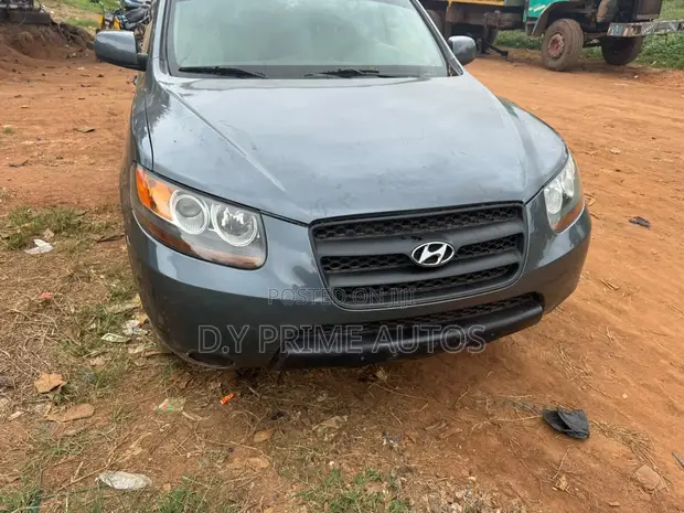 Hyundai Santa Fe 2008 Gray - 1