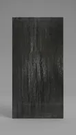 China Tile 60x120 Matt - 1