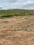 350sqm Residential Land with CofO in Apo Wasa, Abuja - 5