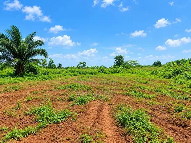600 sqm Land for Sale in Gated Estate, Shimawa - 1