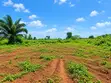 600 sqm Land for Sale in Gated Estate, Shimawa - 1