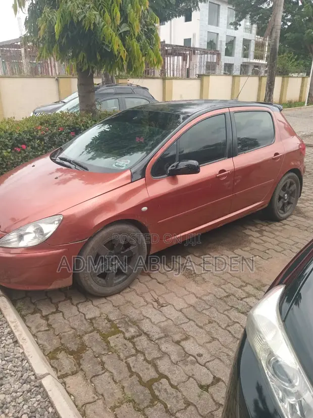 Peugeot 307 2005 - 1