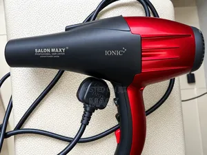 ION Professional Ionic Hair Dryer