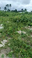 2 Acres na Filin Kasuwa a Alapoti, Atan-Ota, Ogun State - 2
