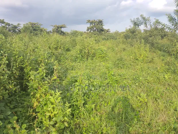 17 Plots of Residential Land for Sale in Ido, Oyo State - 1
