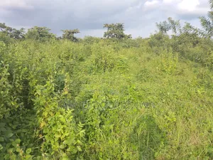 17 Plots of Residential Land for Sale in Ido, Oyo State