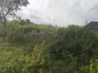 Filaye 17 na Kasar Zama don Siyarwa a Ido, Jihar Oyo - 2