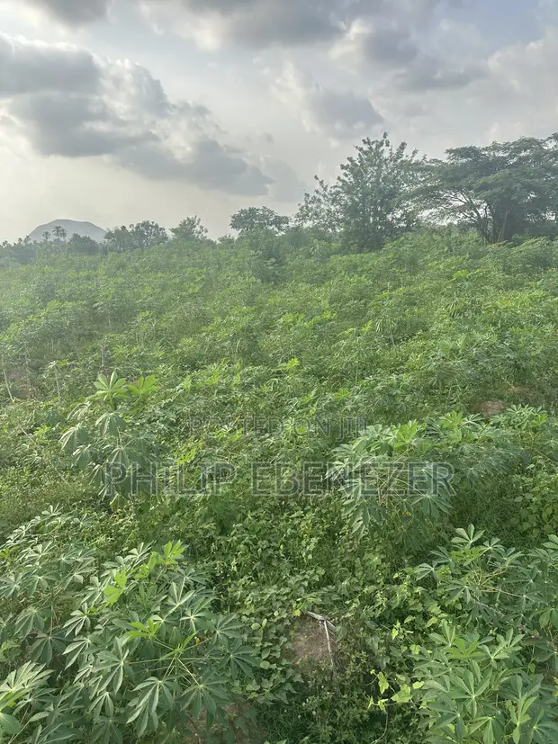 2 Plots of Land for Sale in Igoba, Akure - 1