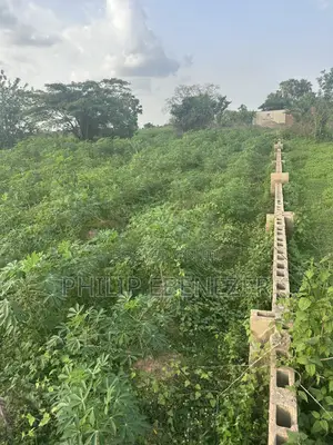 2 Plots of Land for Sale in Igoba, Akure