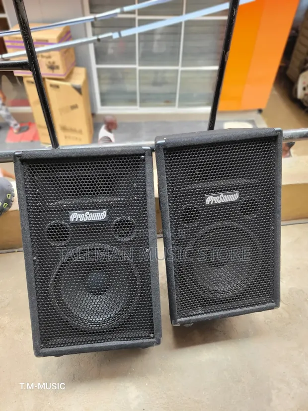 Prosound 10-Inch Speaker (Foreign Used) - 1