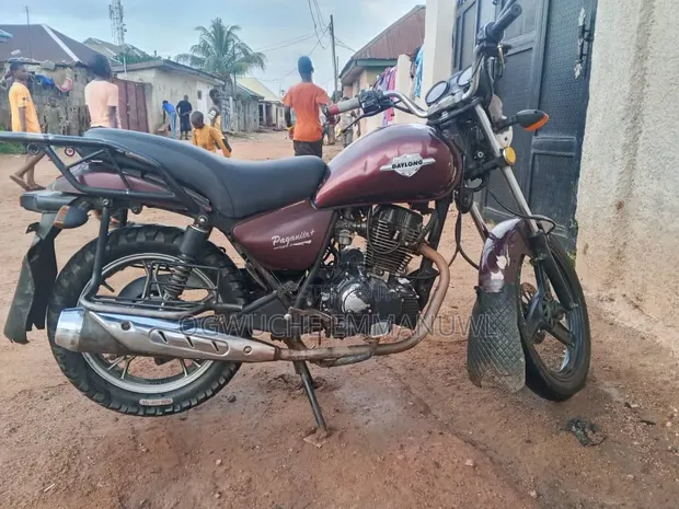 Daylong RKV 200 2023 Brown - 1