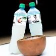 Fresh Bottled Palmwine - Pure Life - 2