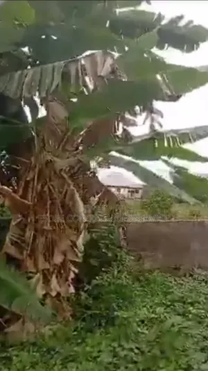 Filaye Hudu - 200x200 ft, Iyekogba Estate