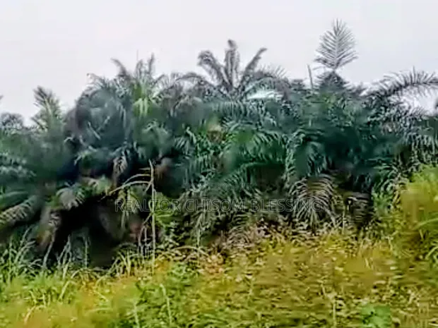 2 Plots of Land for Sale, Abia Tower, Umuahia - 1