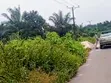 2 Plots of Land for Sale, Abia Tower, Umuahia - 2