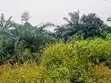 2 Plots of Land for Sale, Abia Tower, Umuahia - 3