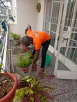 Macoly Integrated Services: Professional Deep Cleaning - 3