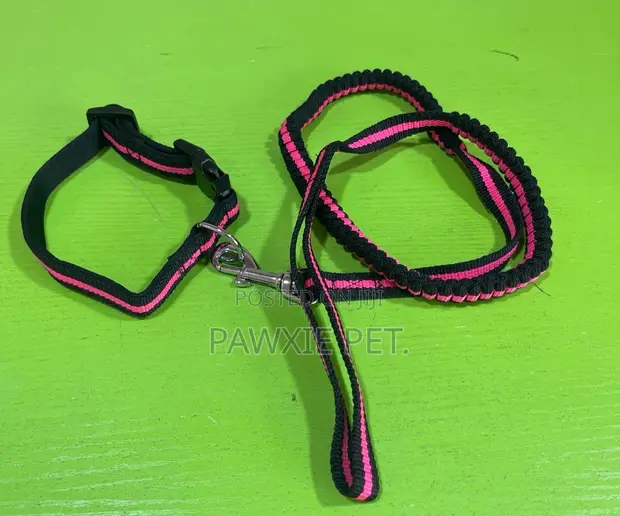 Elastic Dog Lead and Collar Set 1.5*120cm - 1