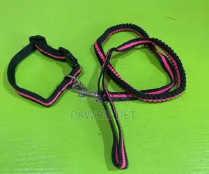 Elastic Dog Lead and Collar Set 1.5*120cm