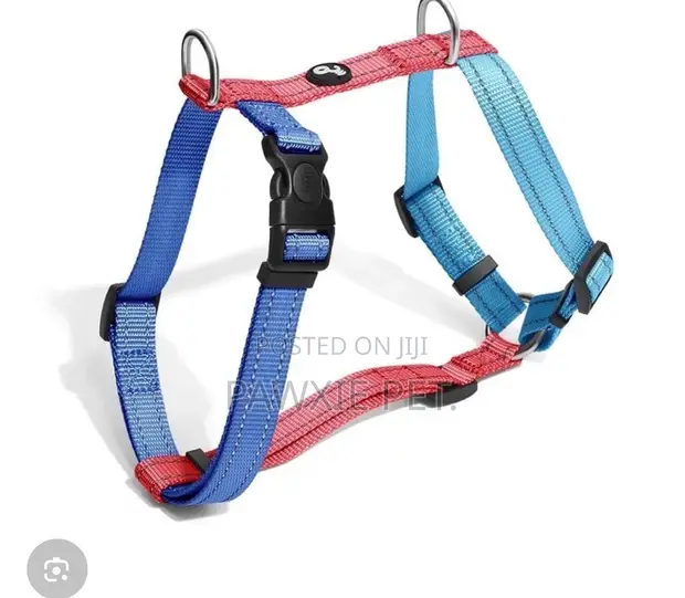 H Shaped Reflective Harness 2.5cm - 1