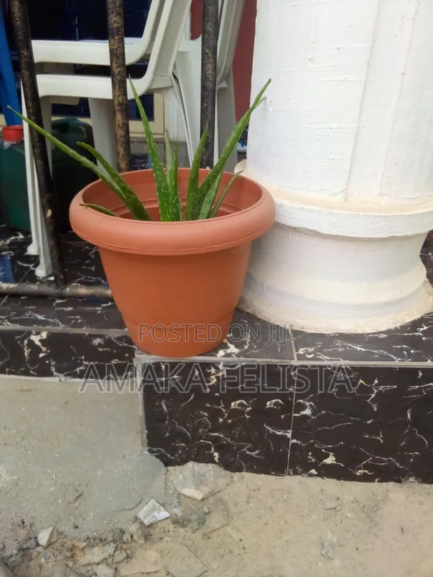 Better Homes & Gardens Medium Flower Pots (Brand New) - 1