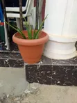 Better Homes & Gardens Medium Flower Pots (Brand New) - 1