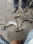 Lexus GX470 Lower Control Arm (Camber) - 2