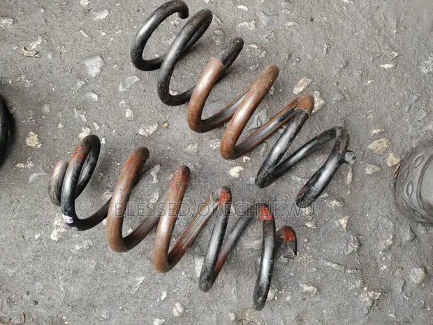 Toyota RAV4 2010 Rear Spring - 1
