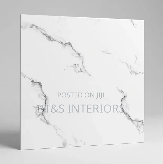 Super Polish 60x60cm Ceramic Floor Tiles - 1