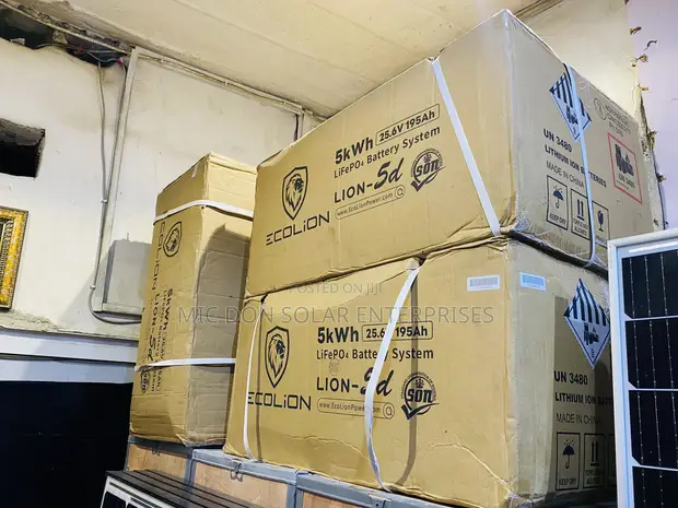 Eco Lion 5kWh 24V Lithium Battery - 1
