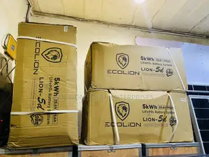 Eco Lion 5kWh 24V Lithium Battery