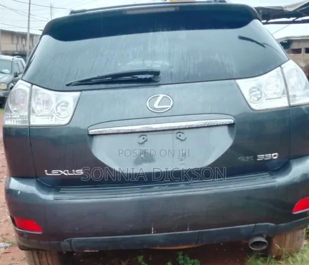 Lexus RX 330 2010 Gray - 1
