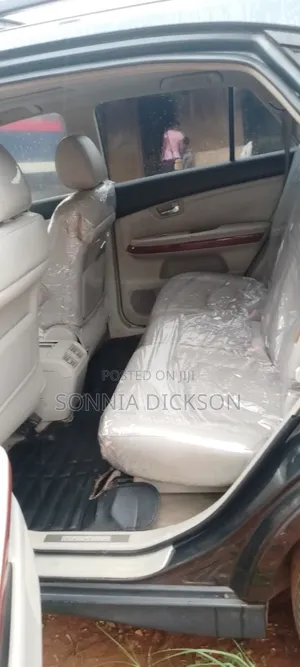 Lexus RX 330 2010 Gray