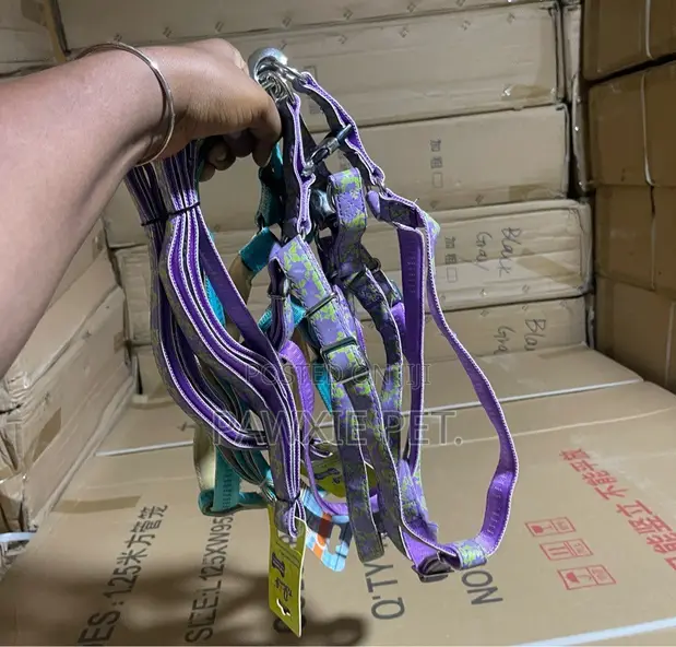 Dog Favor Design Harness & Lead (2.0*120cm) - 1